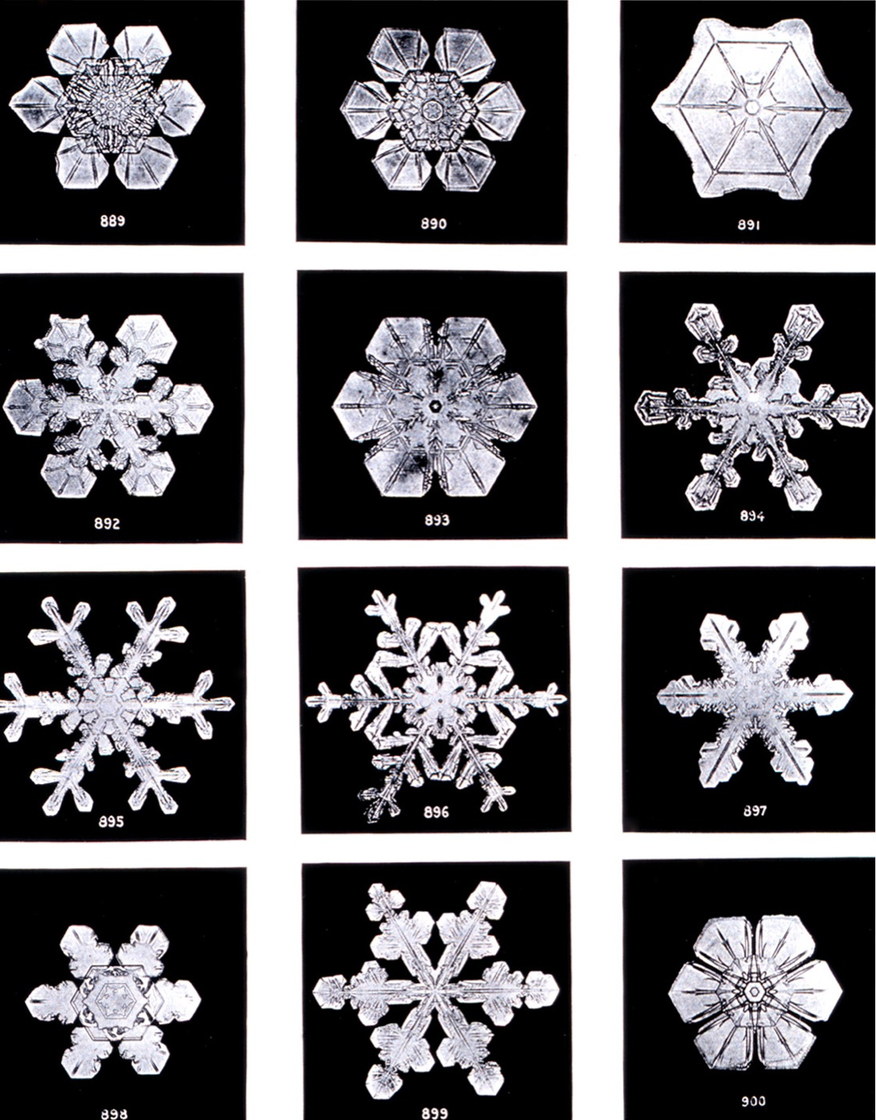 Cristaux de neige - photographies de Wilson Bentley, v. 1902