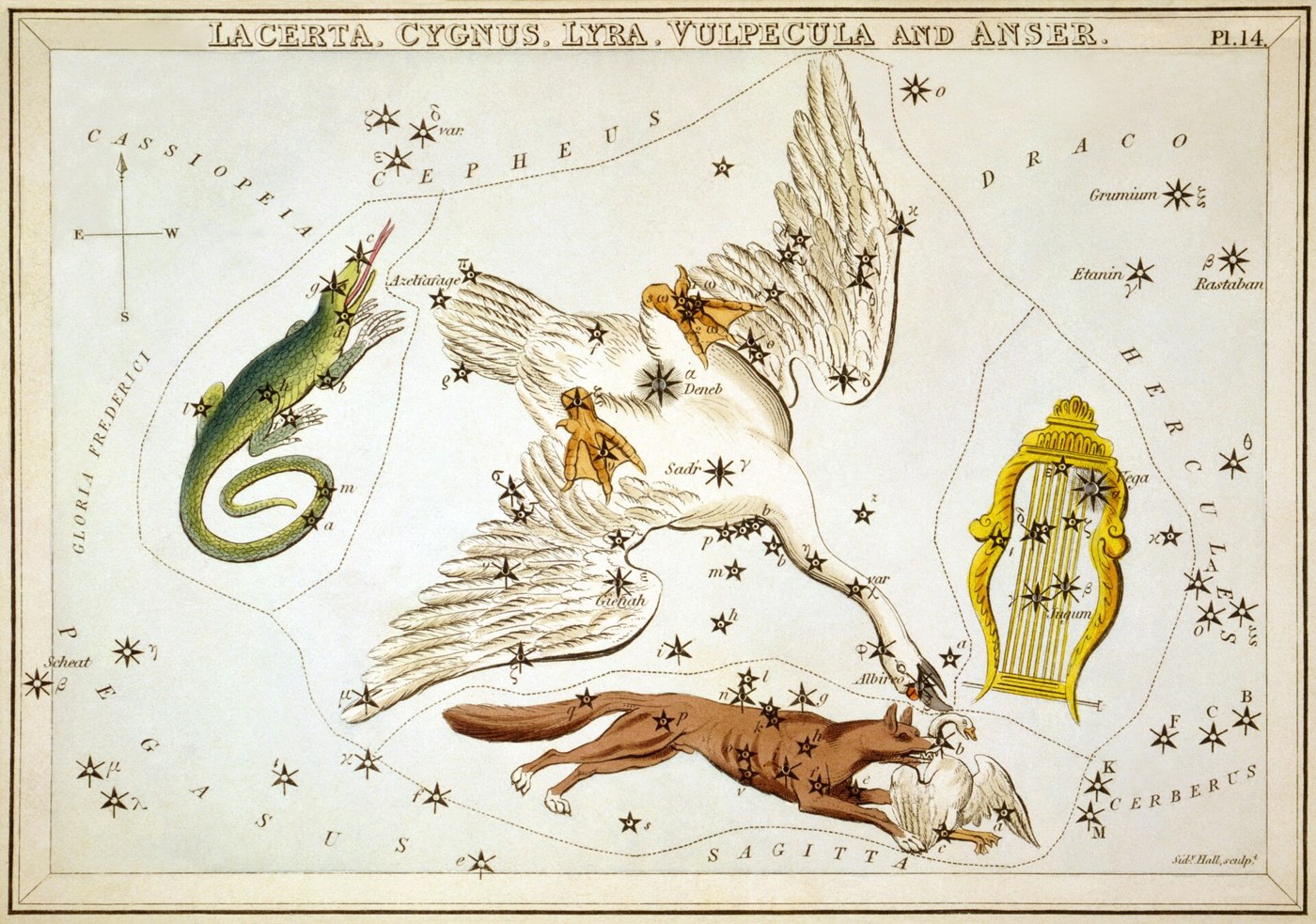 Le Cygne et la Lyre - Sidney Hall, Urania's Mirror, cartes célestes, 1824