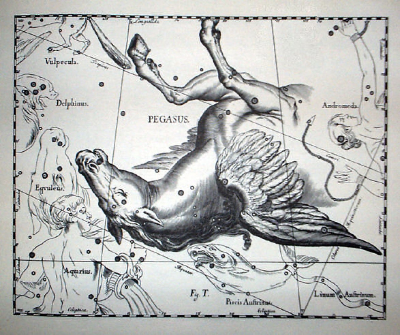 Pégase, Uranographia - Johannes Hevelius, 1690