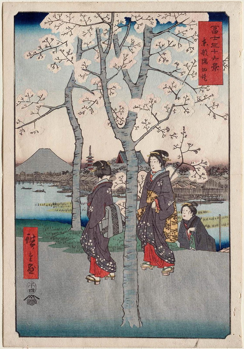Cerisiers en fleur - Utagawa Hiroshige, Trente-six vues du mont Fuji, v. 1852