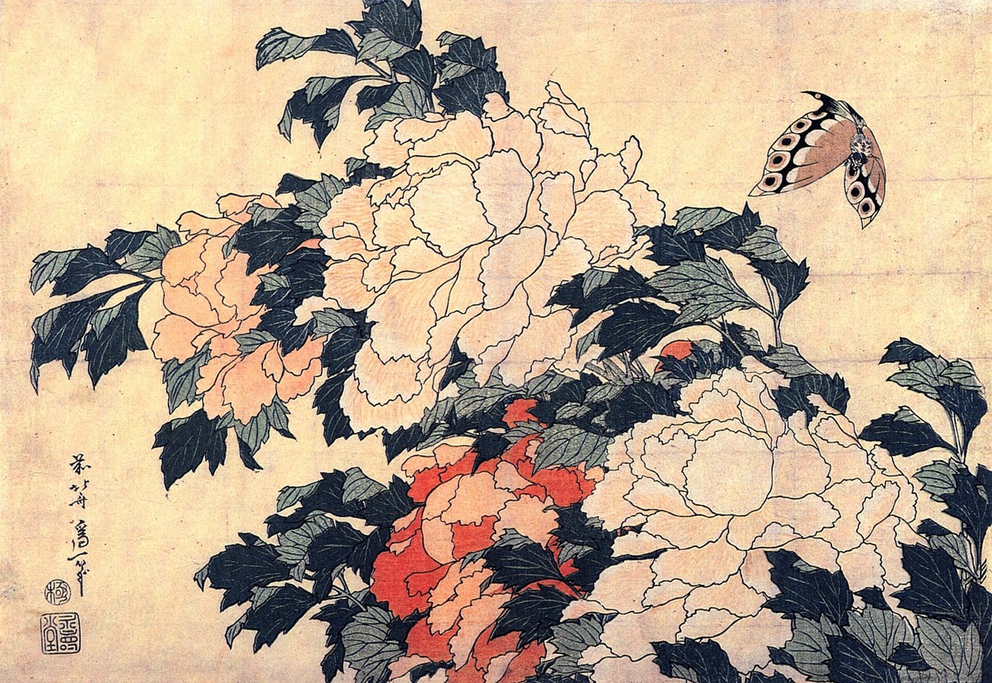 Pivoines et papillon - Katsushika Hokusai, vers 1833