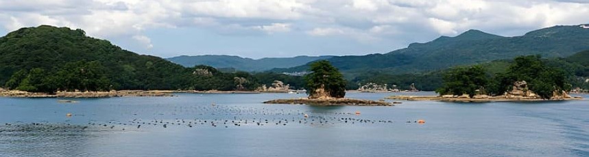 Ferme perlière, baie d'Ago — Japon.