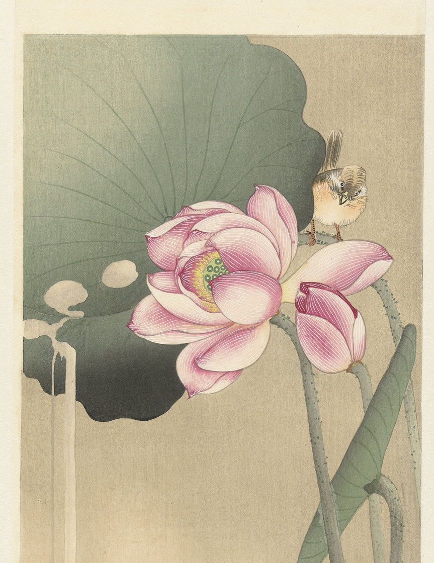 Lotus et oiseau chanteur - Ohara Koson, Rijksmuseum, Amsterdam