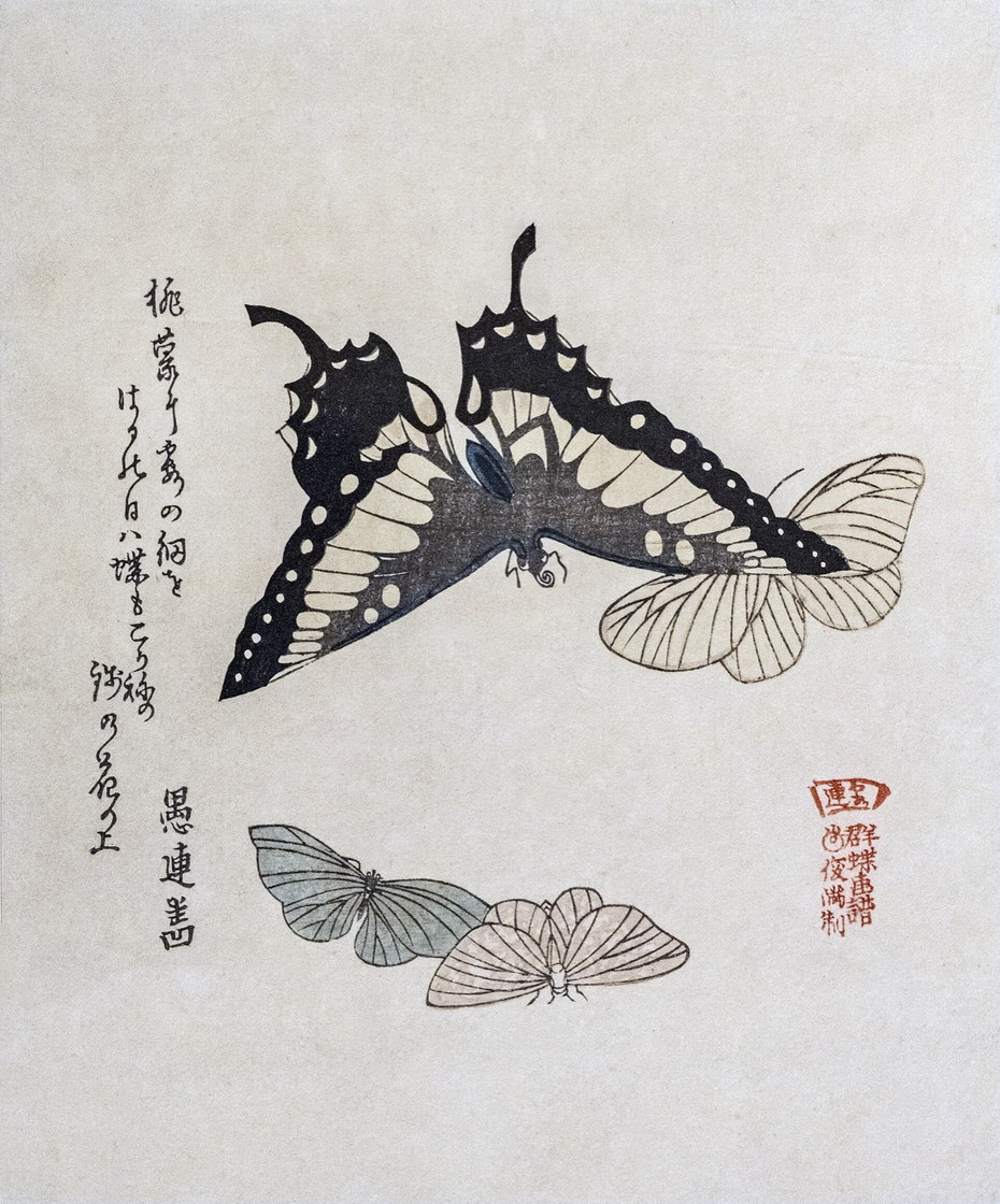 Surimono aux papillons - Kubo Shunman, v. 1815, musée Labit