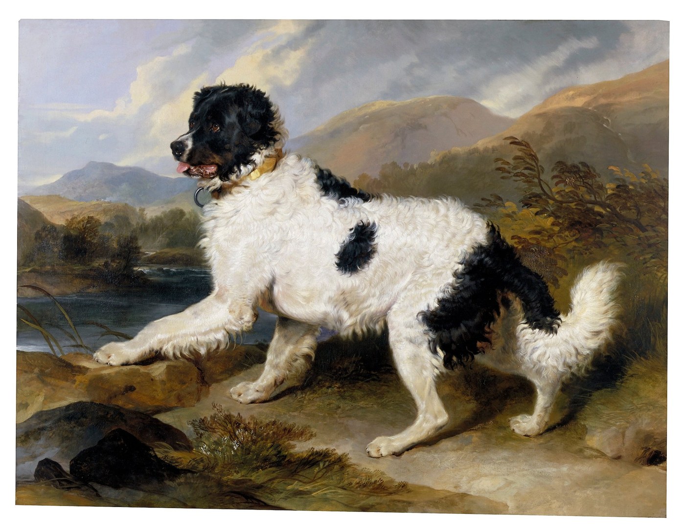 Lion, terre-neuve - Sir Edwin Landseer, 1824